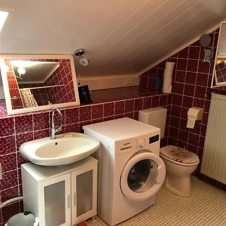 公寓 Natuerlicher Holzkomfort Im Hessischen Kegelspiel 汉菲尔德